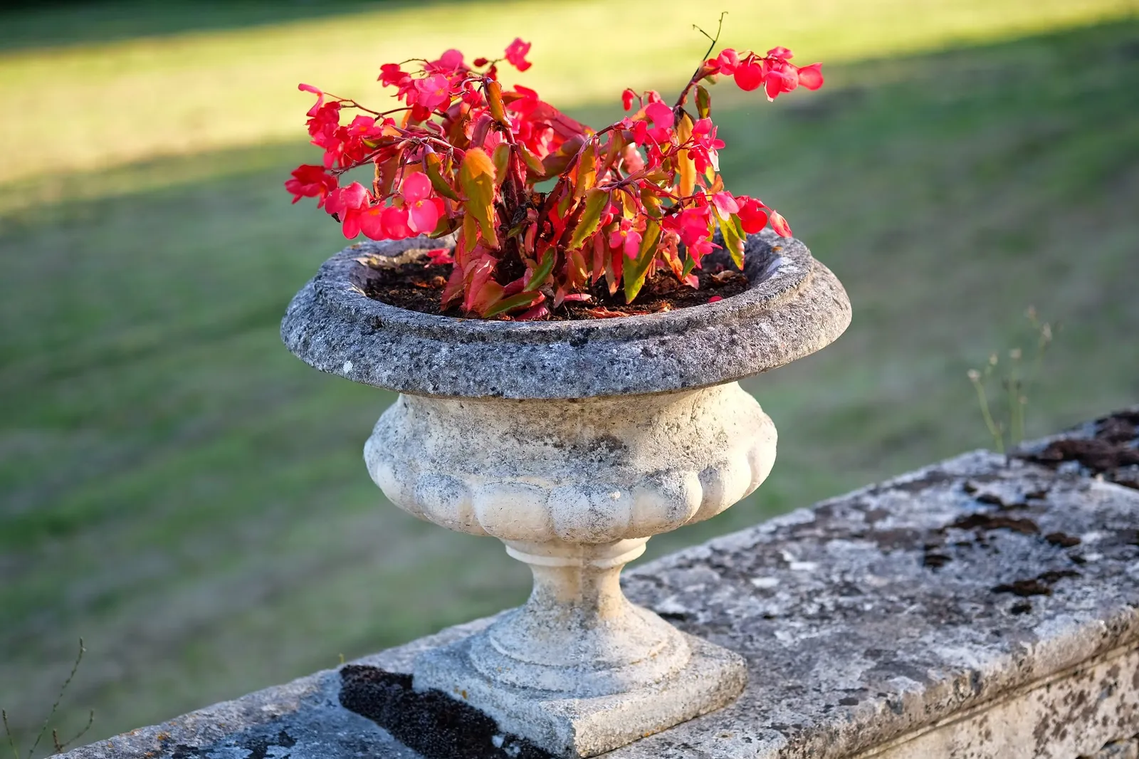 Le Rambert — exterior